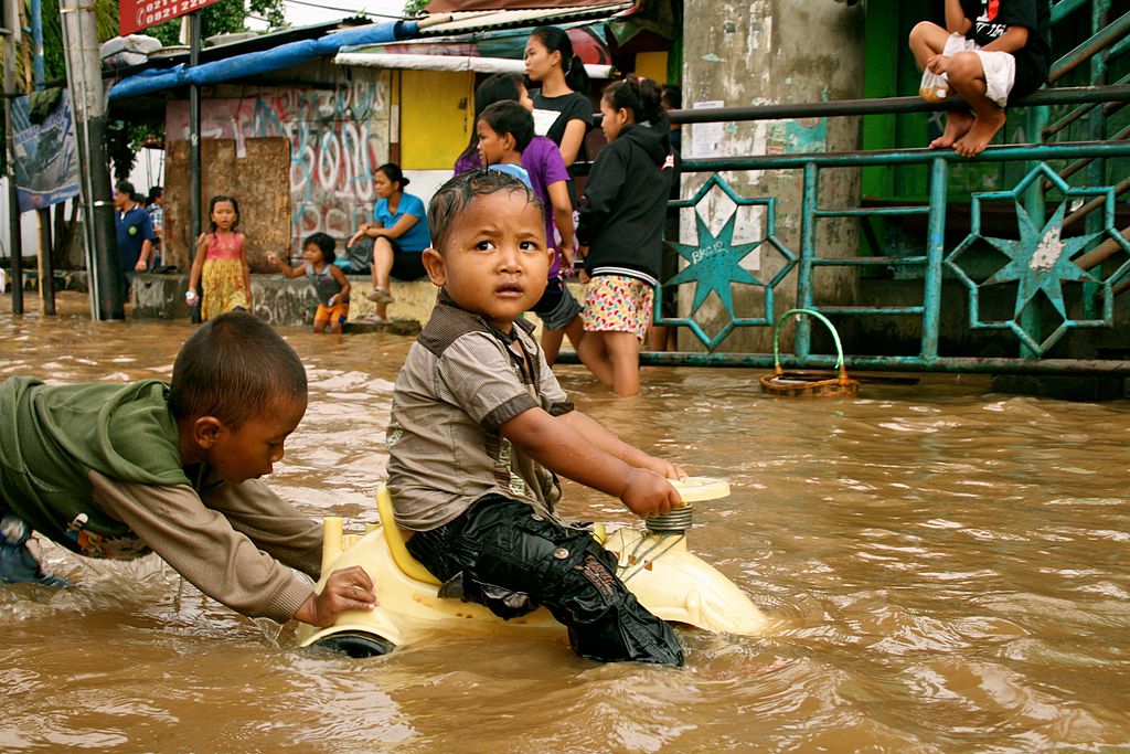 The Impacts of Climate-related Disasters on Vulnerable Populations in China, Indonesia and Viet Nam: A Scoping Review of Health Adaptation and Implications for Measurement Project Image JP